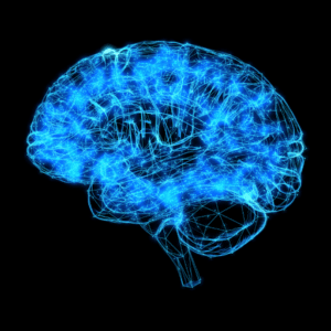 A blue computer-generated image of the brain on a black background 