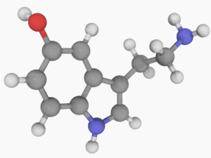 A molecular model of serotonin, imbalances of which can cause migraines