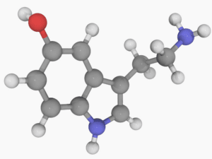 Un modelo molecular de la serotonina, cuyos desequilibrios pueden causar migrañas