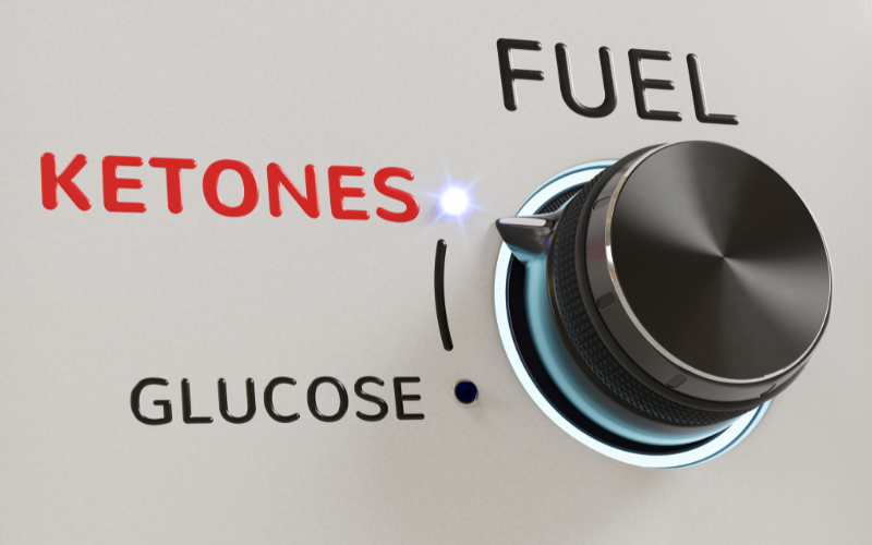 A fuel dial switched from “glucose” to “ketone” energy